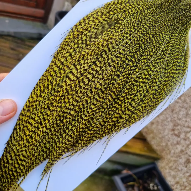 Whiting High and Dry Rooster Cape in Grizzly in Olive-7